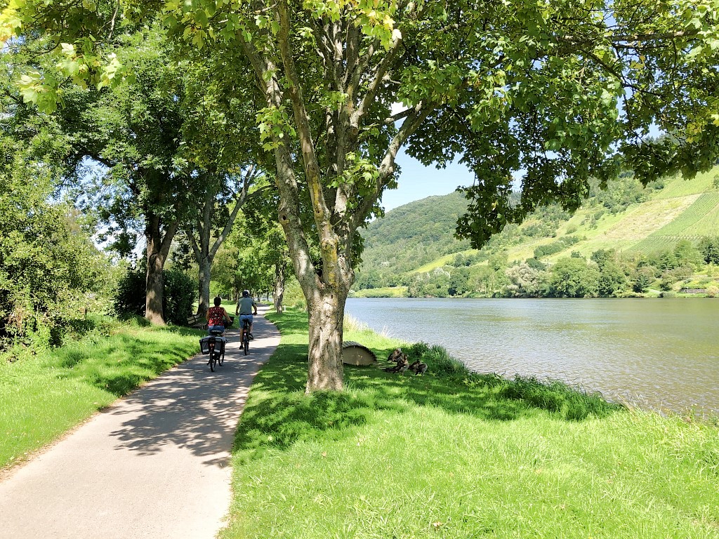 Moselradweg bei Alf - Urlaub an der Mosel und in der Mosel-Eifel in Ferienhaus Bad Bertrich, Friedrichstraße 1, 56864 Bad Bertrich